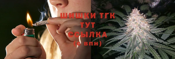 гидра Арсеньев