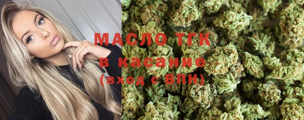 гидра Арсеньев