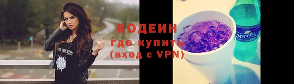 гидра Арсеньев