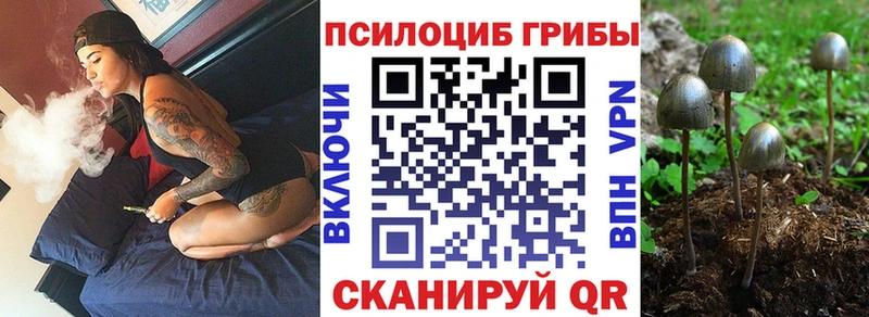 Галлюциногенные грибы мицелий  Купить где  Бавлы 