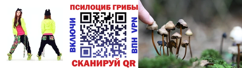 Галлюциногенные грибы Magic Shrooms Бавлы